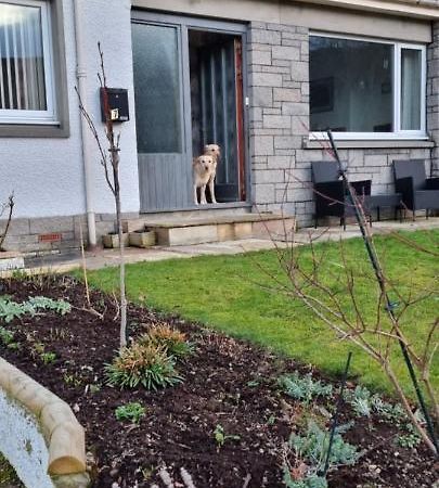Bb@No17 Bed & Breakfast Aviemore Dış mekan fotoğraf