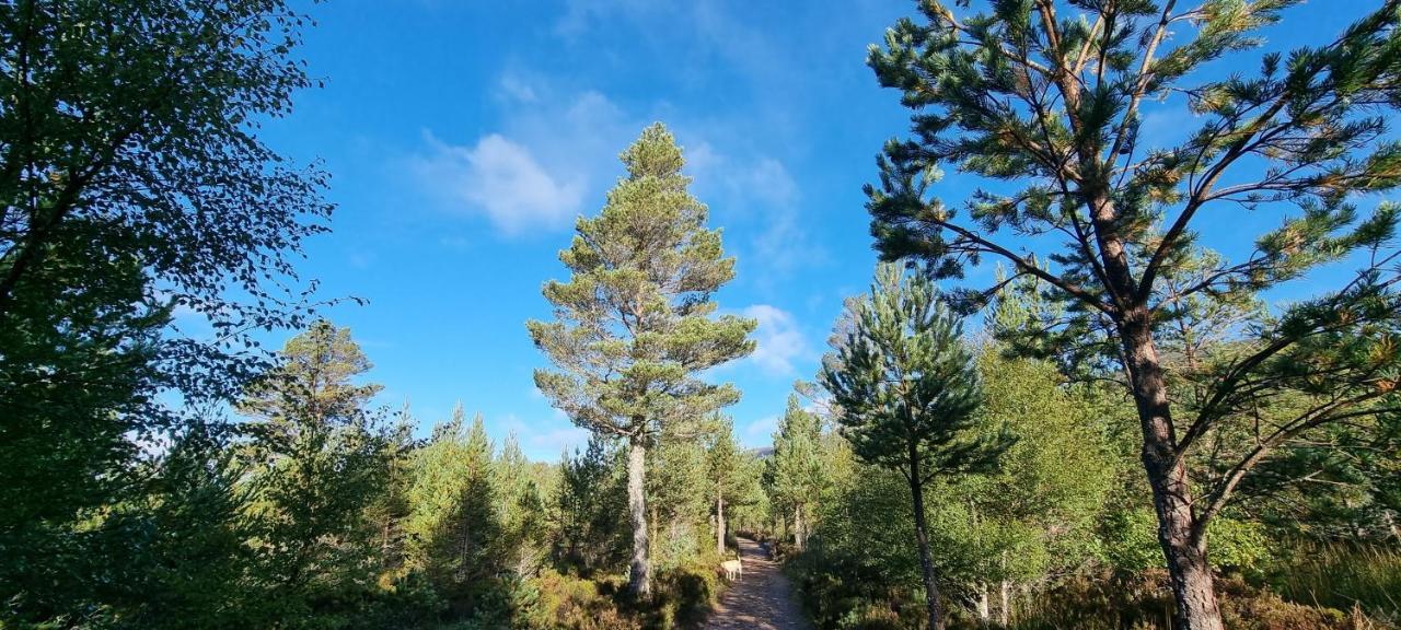 Bb@No17 Bed & Breakfast Aviemore Dış mekan fotoğraf