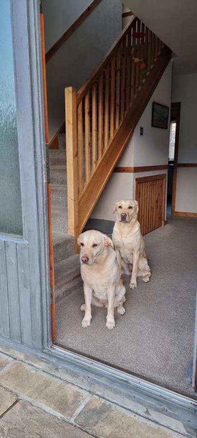Bb@No17 Bed & Breakfast Aviemore Dış mekan fotoğraf
